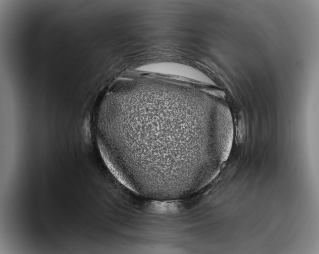 X0000096140520200802151337