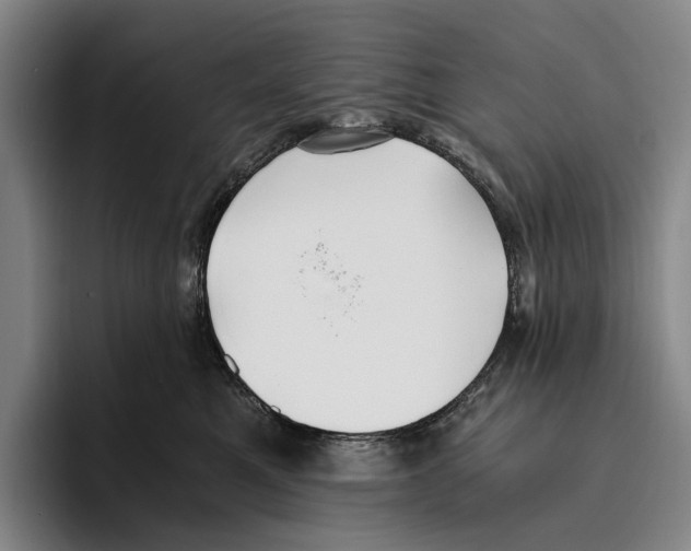 X0000096140521200802151337