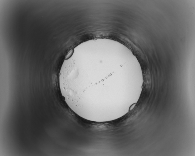 X0000096140523200802151337