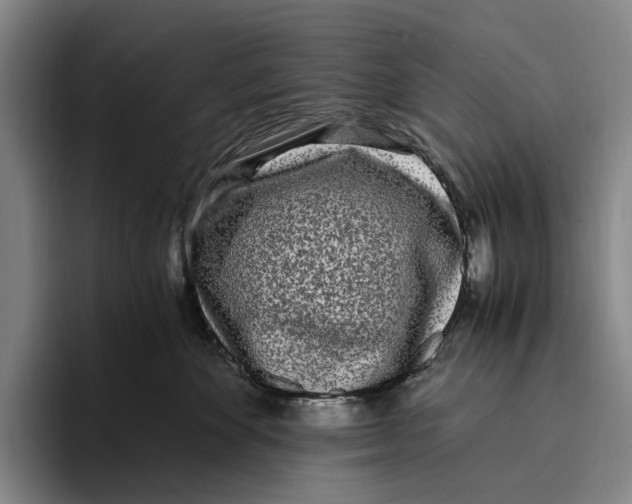 X0000096140524200802151337