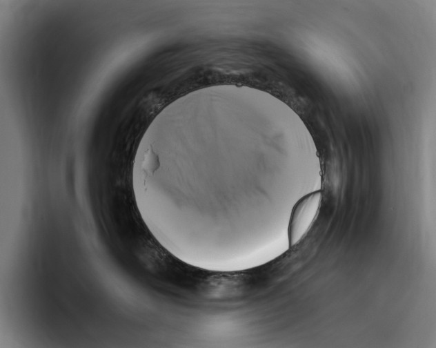 X0000096140526200802151337