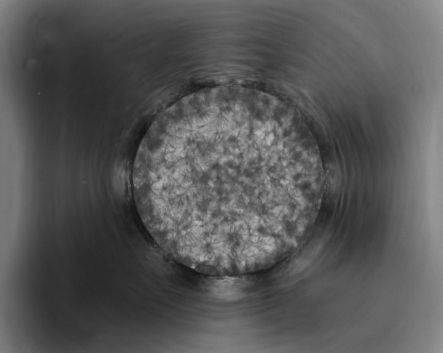 X0000096140527200802151337