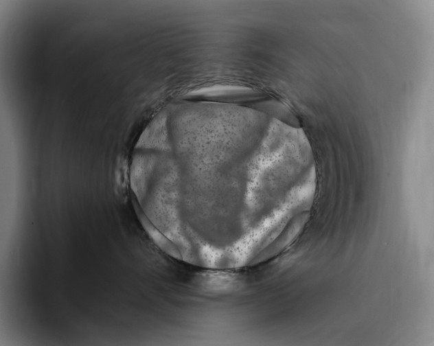 X0000096140528200802151337
