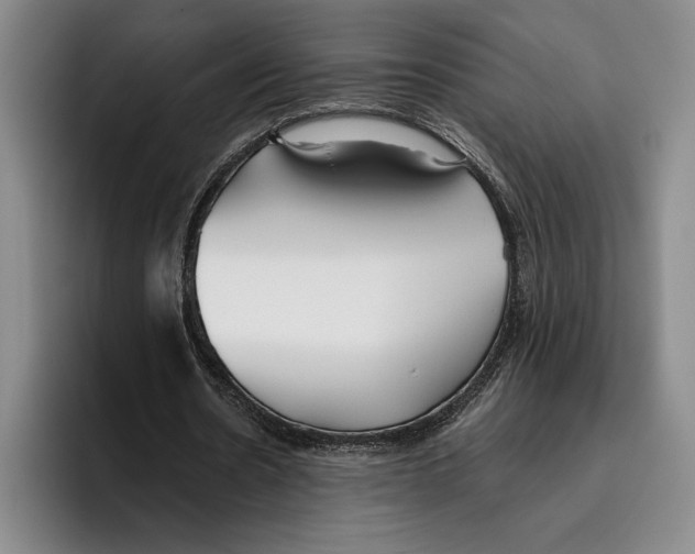 X0000096140530200802151336
