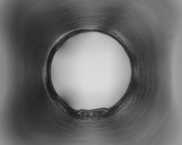 X0000096140532200802151336