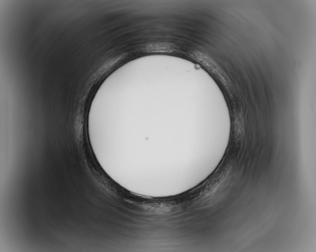 X0000096140533200802151336