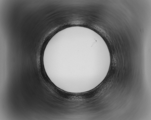 X0000096140535200802151336