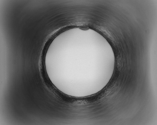 X0000096140536200802151336