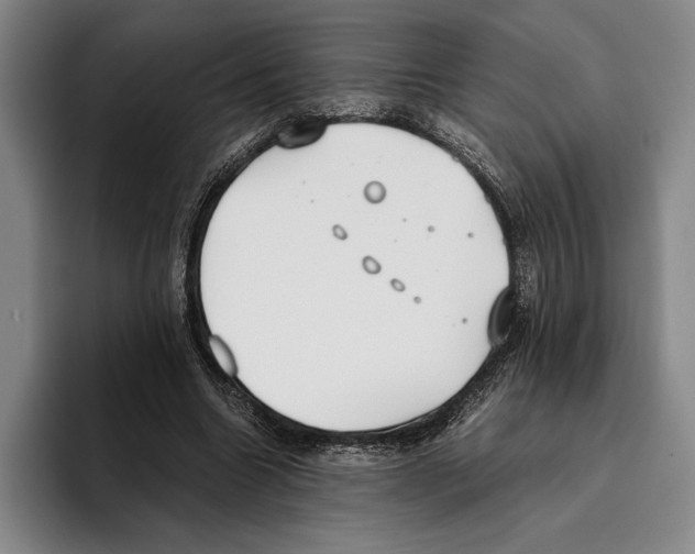 X0000096140538200802151336