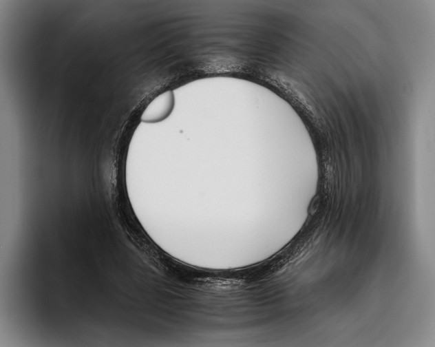 X0000096140539200802151336