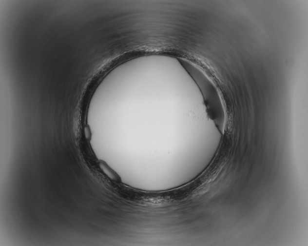 X0000096140540200802151336