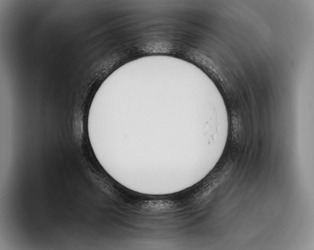 X0000096140541200802151336