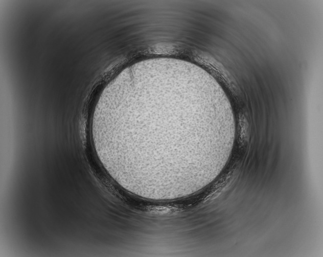 X0000096140542200802151336