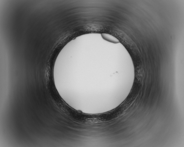 X0000096140544200802151336