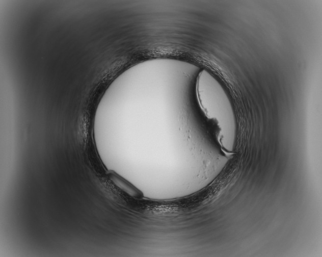 X0000096140546200802151336