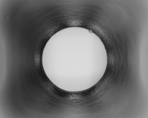X0000096140549200802151336