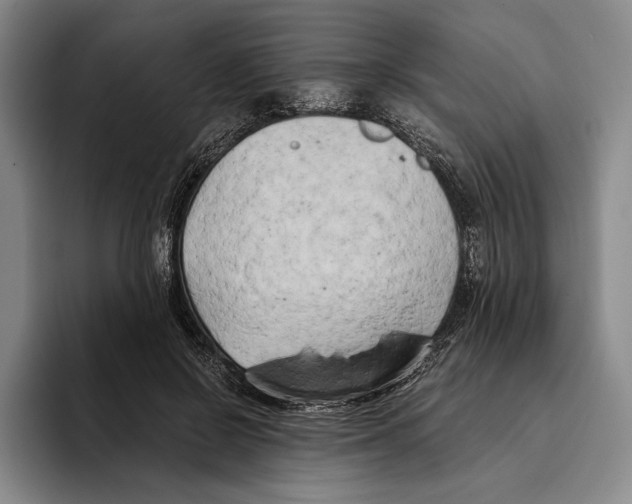 X0000096140550200802151336