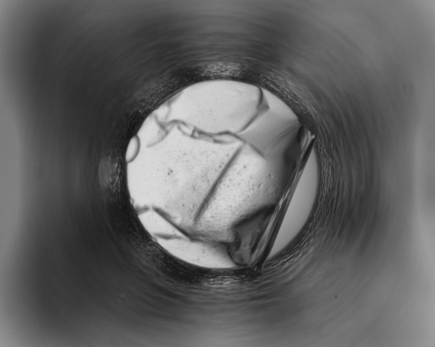 X0000096140551200802151336