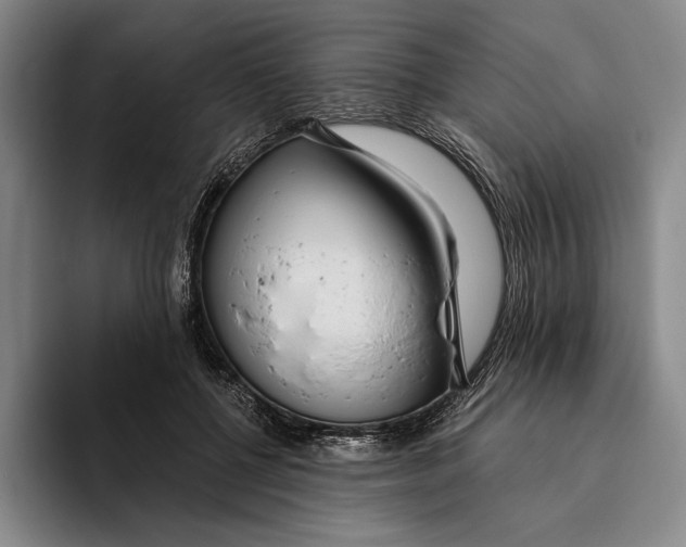 X0000096140552200802151336
