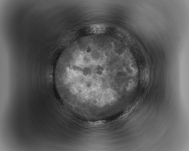 X0000096140553200802151336