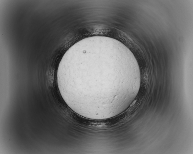 X0000096140554200802151336