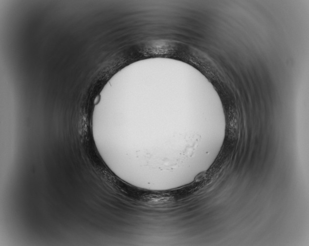 X0000096140555200802151336