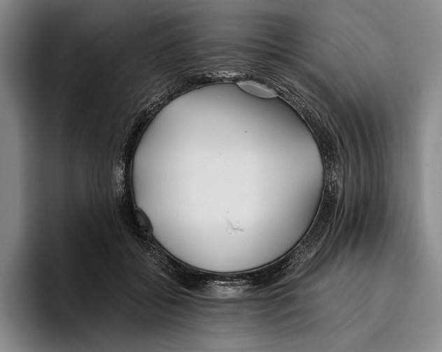 X0000096140556200802151336