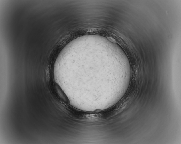 X0000096140558200802151336