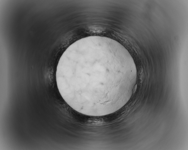 X0000096140559200802151336