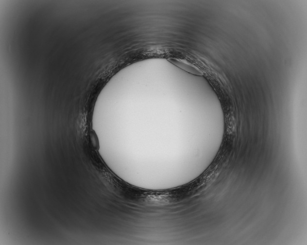 X0000096140560200802151336