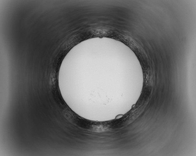X0000096140561200802151336