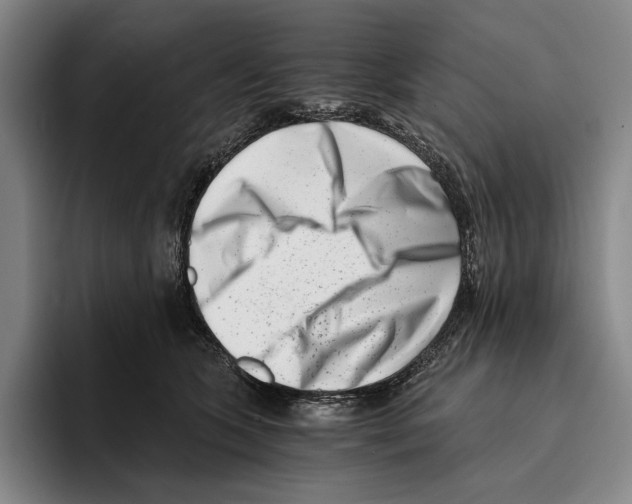 X0000096140563200802151336
