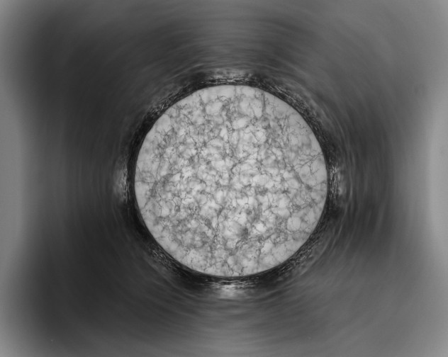 X0000096140564200802151336