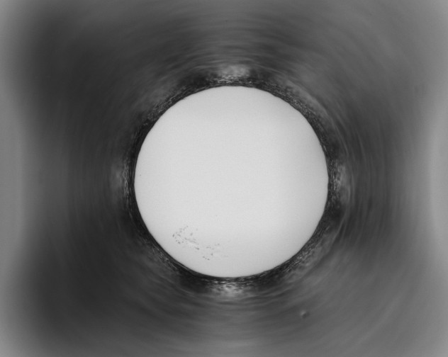 X0000096140565200802151336