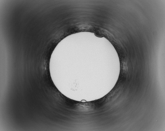 X0000096140567200802151336