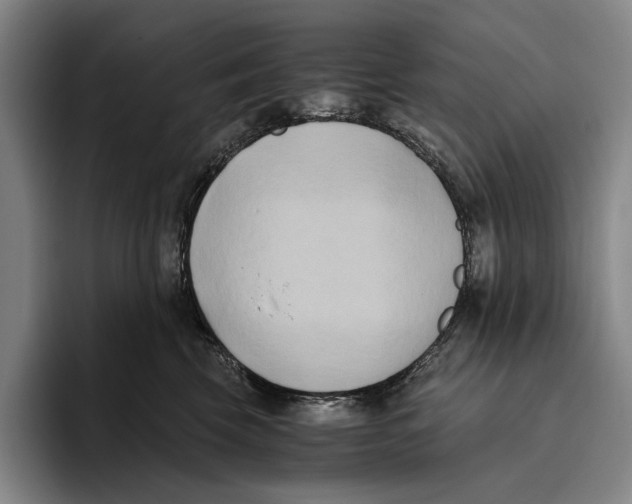 X0000096140569200802151336