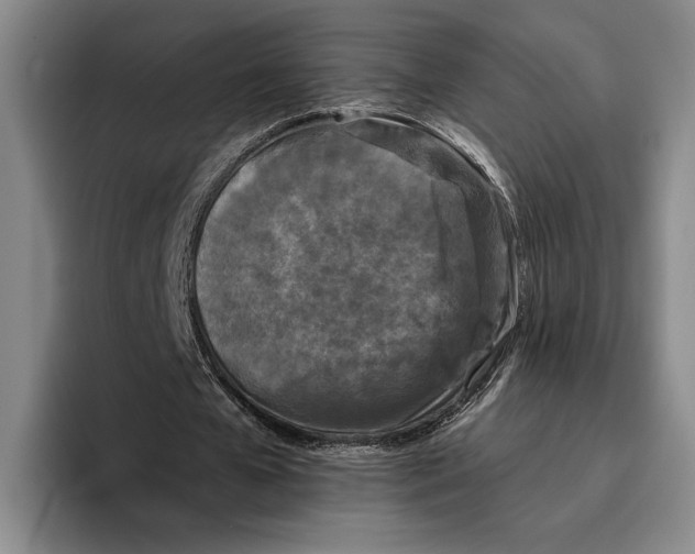 X0000096140577200802151336