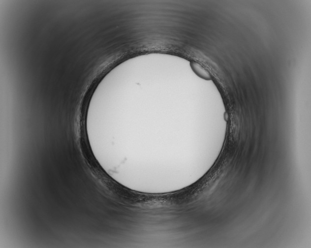X0000096140578200802151336