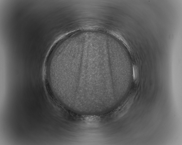 X0000096140579200802151336
