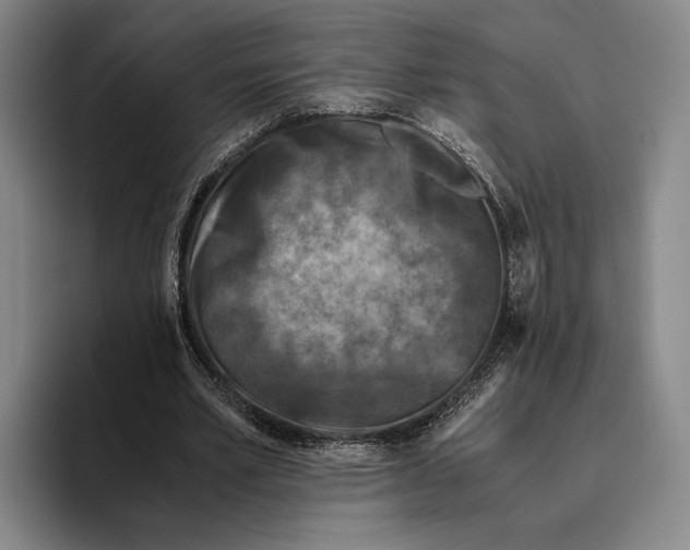 X0000096140581200802151336