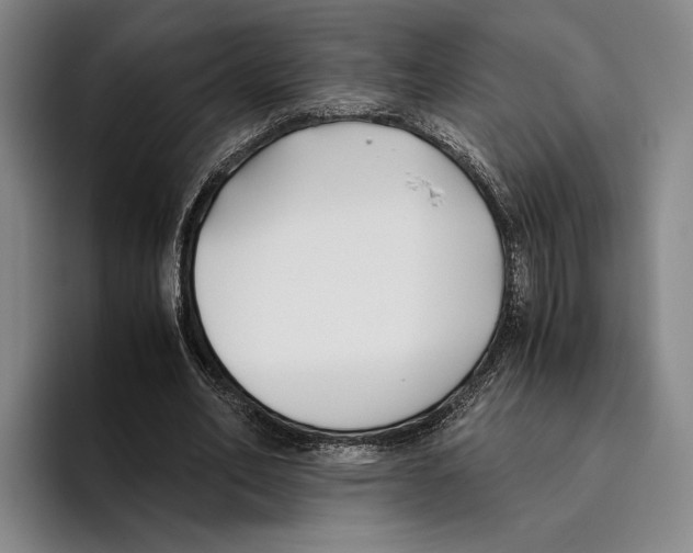 X0000096140582200802151336