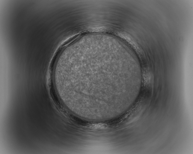 X0000096140583200802151336