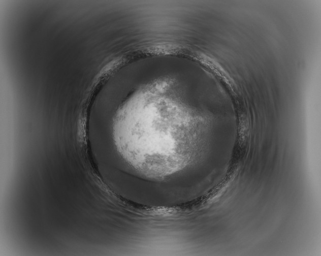 X0000096140585200802151336