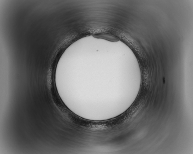 X0000096140586200802151336