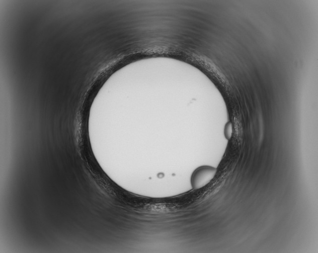 X0000096140588200802151336