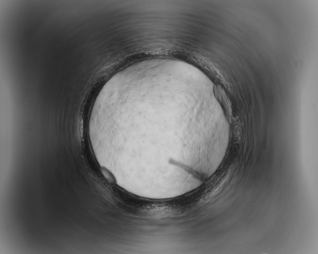 X0000096140589200802151336