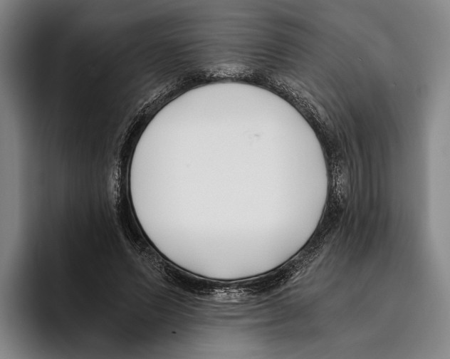 X0000096140591200802151336