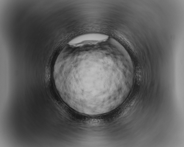 X0000096140593200802151336