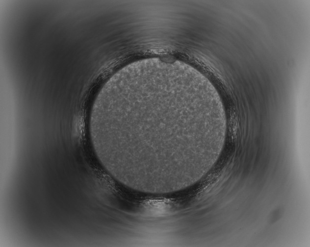 X0000096140595200802151336