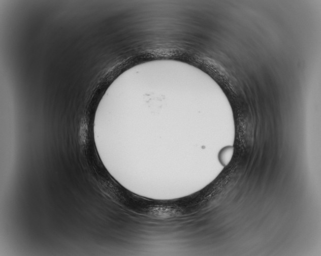 X0000096140596200802151336